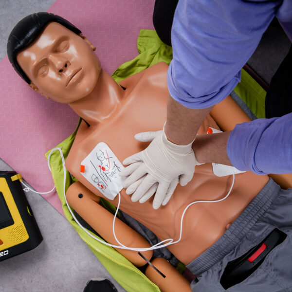 Electrodes for Vivest Trainer